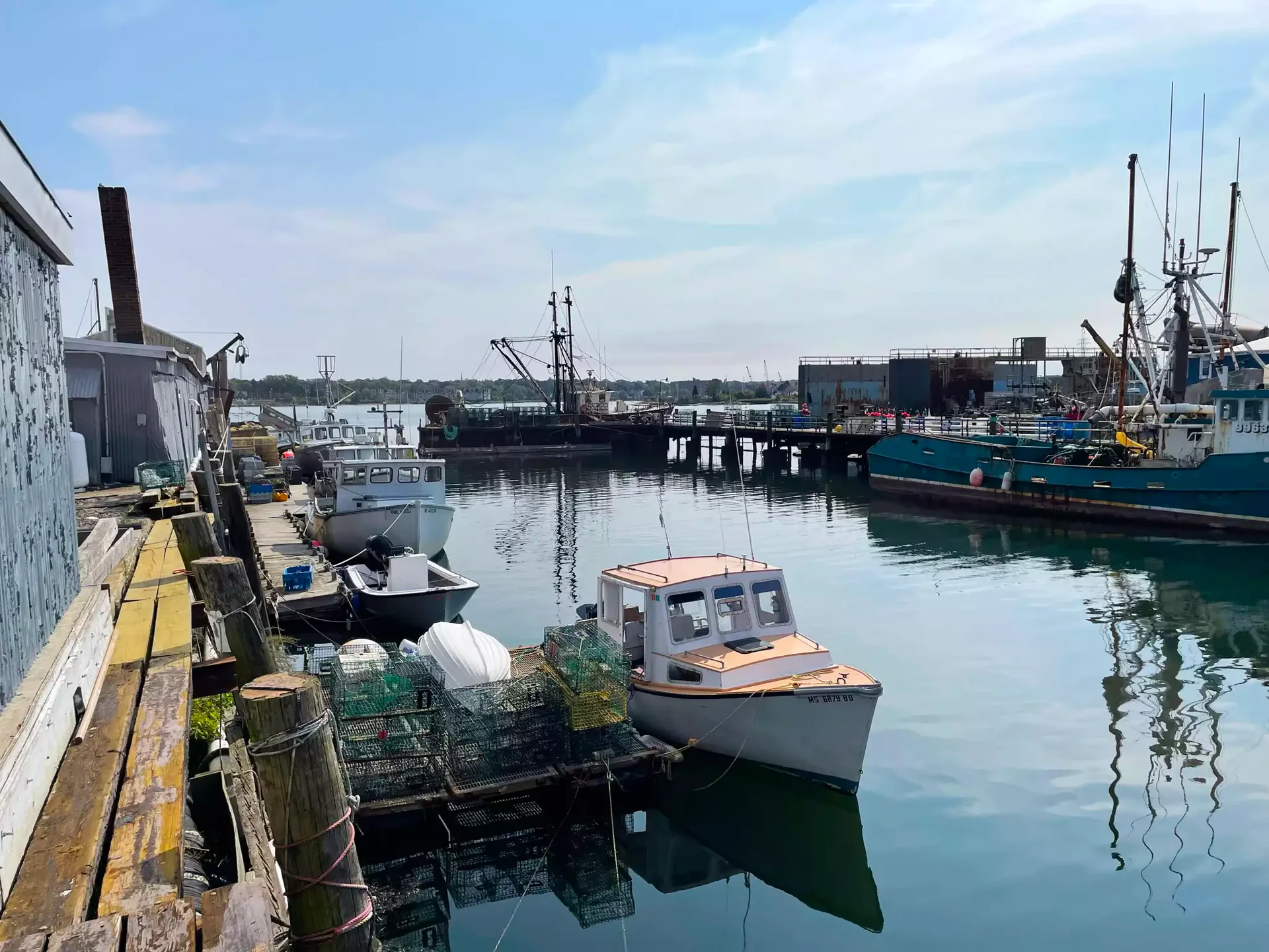 Maine’s Finest Coastal Catch Delivered