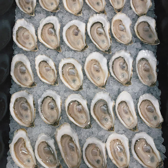 Bar Harbor Blonde Maine Oysters (Mount Desert Island, ME) - Image 2