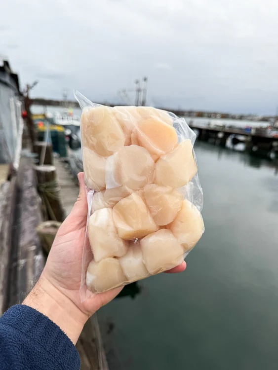 The Maine Seafood Gift Box (Our Best-Selling Gift Set) - Image 3