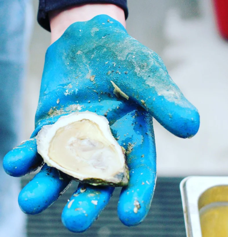 Cora Cressy Oysters (Bremen, ME) 25 Oysters - Image 2