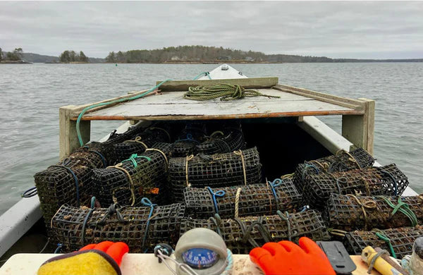 Emily's Maine Oysters (Casco Bay, ME) 25 Oysters - Image 3