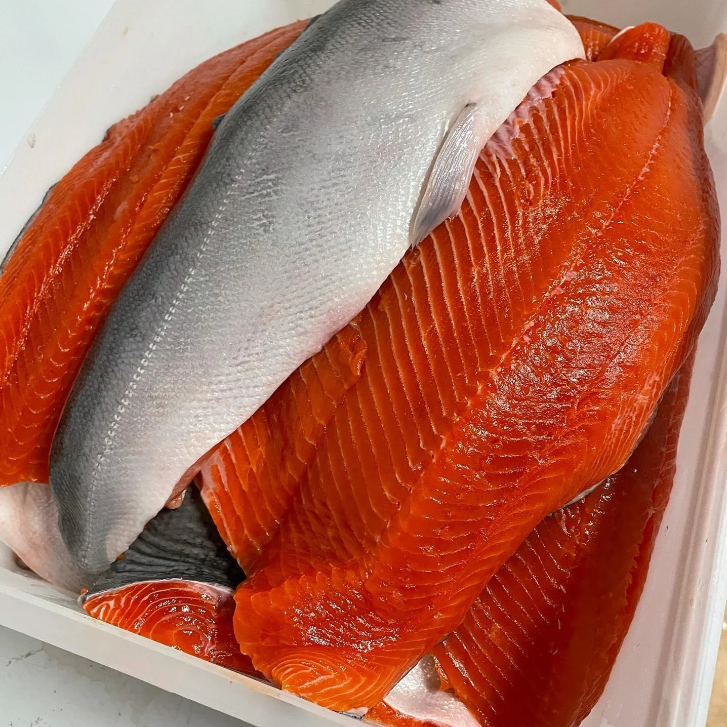 Fresh Wild Alaskan Sockeye Salmon Fillet - SOLD OUT - Image 2