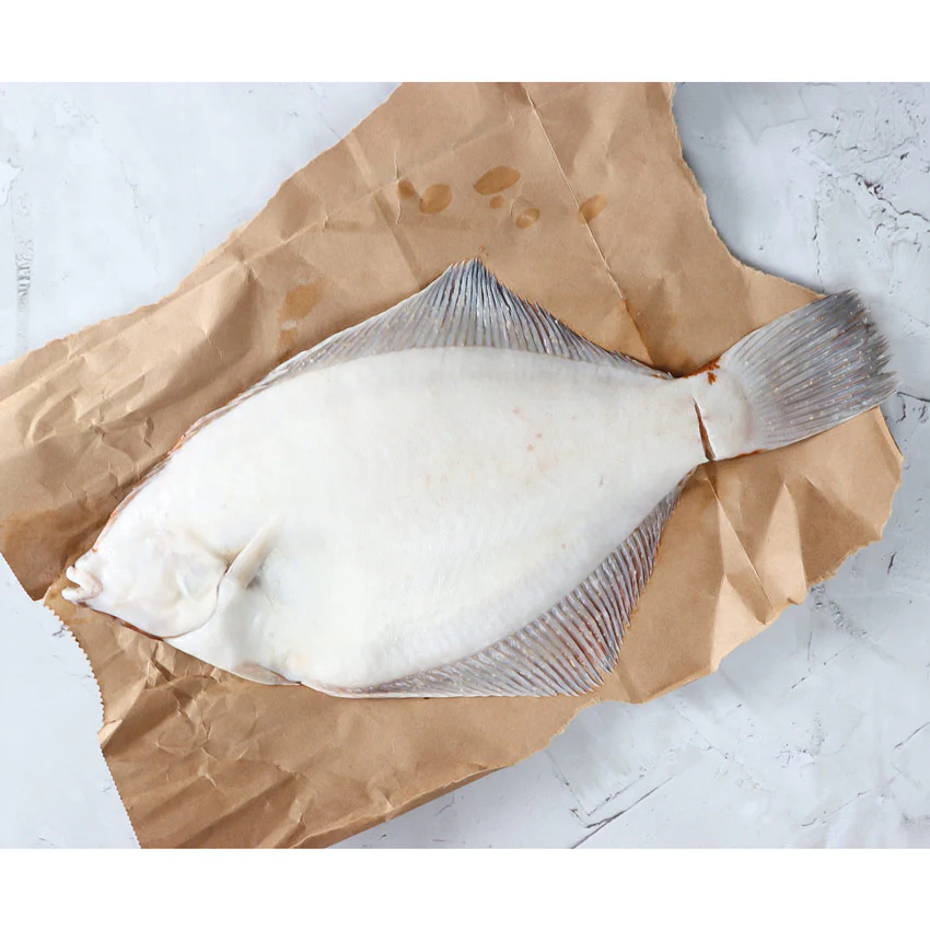 Fresh Gulf of Maine Flounder Fillet (1 lb) — Sustainable Fishery, Never Frozen - Image 3