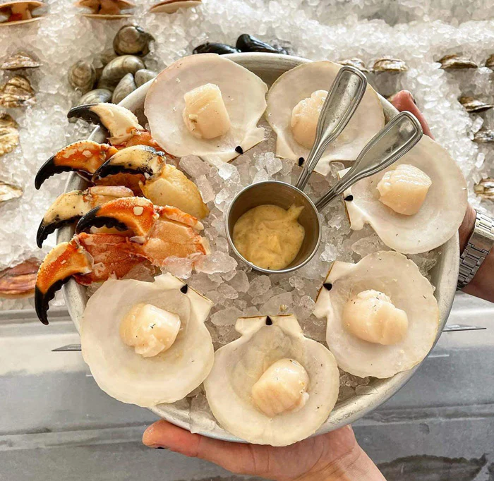 Live Maine Sea Scallops (in the shell, 25 ct) - Image 5
