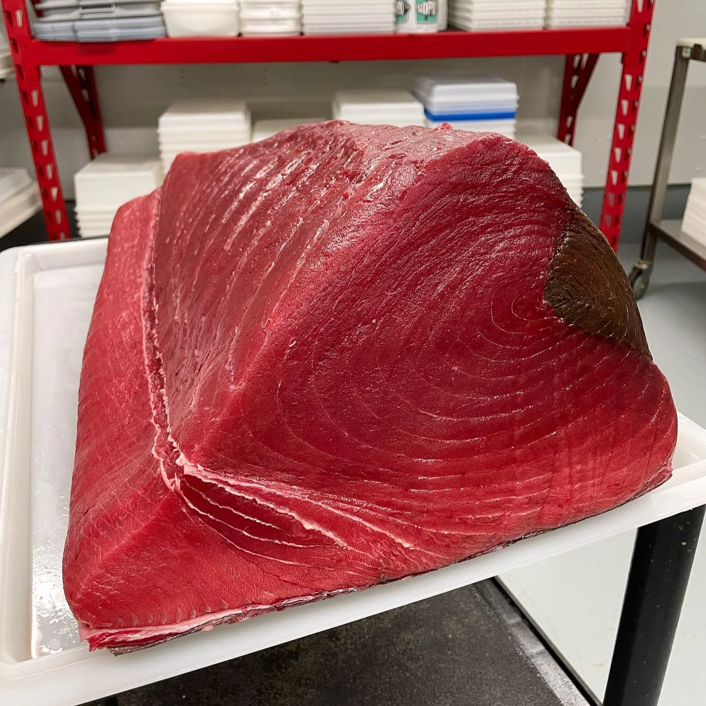 Maine Bluefin Tuna (Sushi-Grade) - Season Closed - Image 6