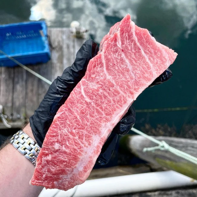 Maine Bluefin Tuna TORO (Belly) - SEASON OPEN