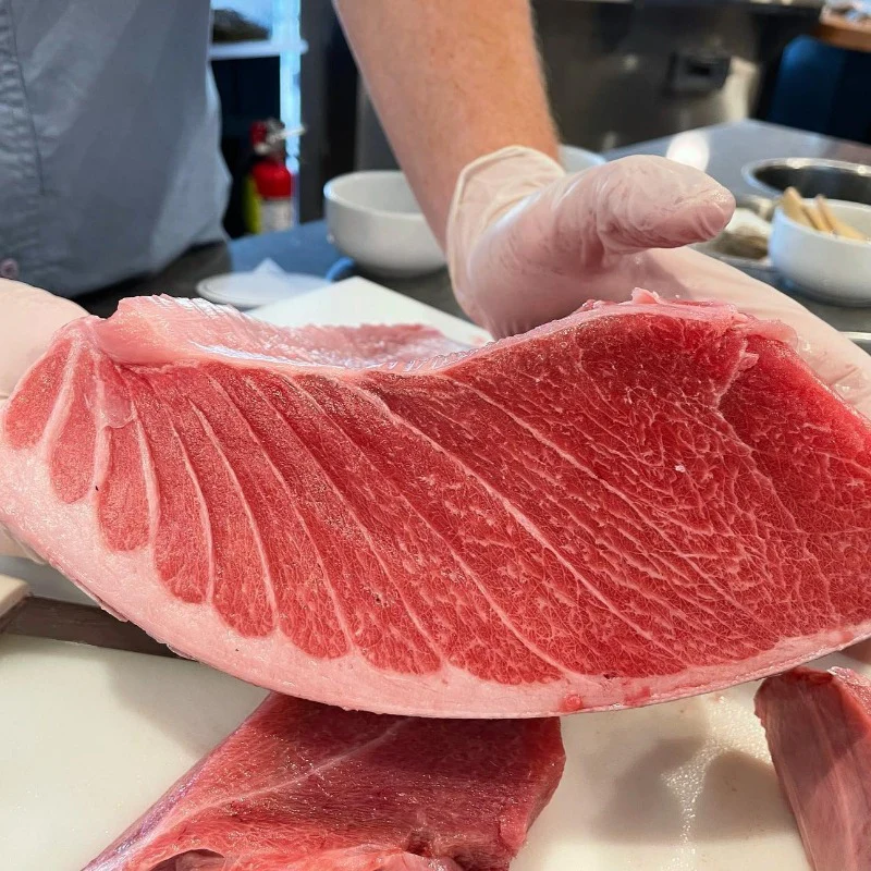 Maine Bluefin Tuna TORO (Belly) - SEASON OPEN - Image 7