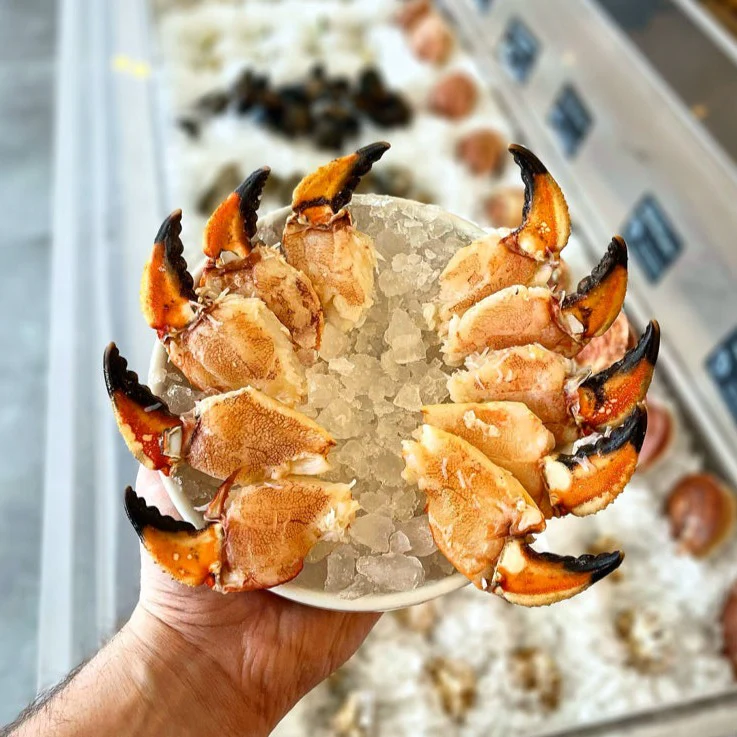 Maine Jonah Crab Claws (1 lb) — Ready to Eat - Image 4