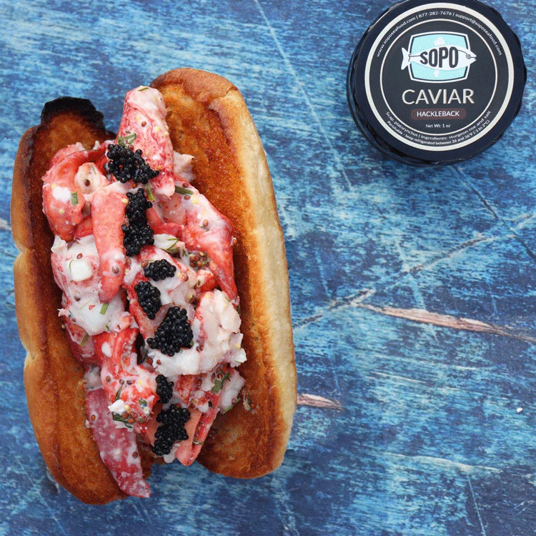 Maine Lobster Roll & Caviar Kit - Image 4