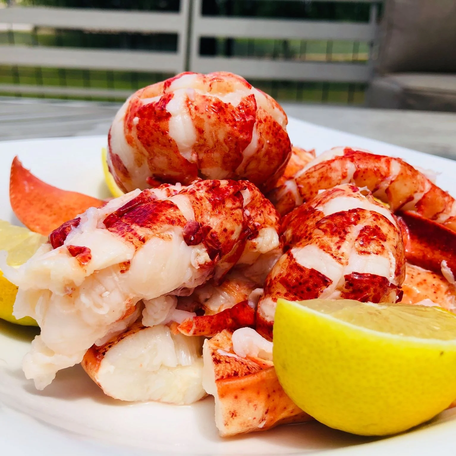 Fresh Maine Lobster Meat (Tail, Claw, & Knuckle) - Image 2