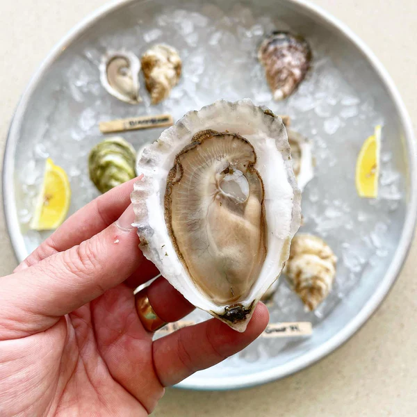 Maine Oyster Duo Box (2 Great Local Farms) - Image 3