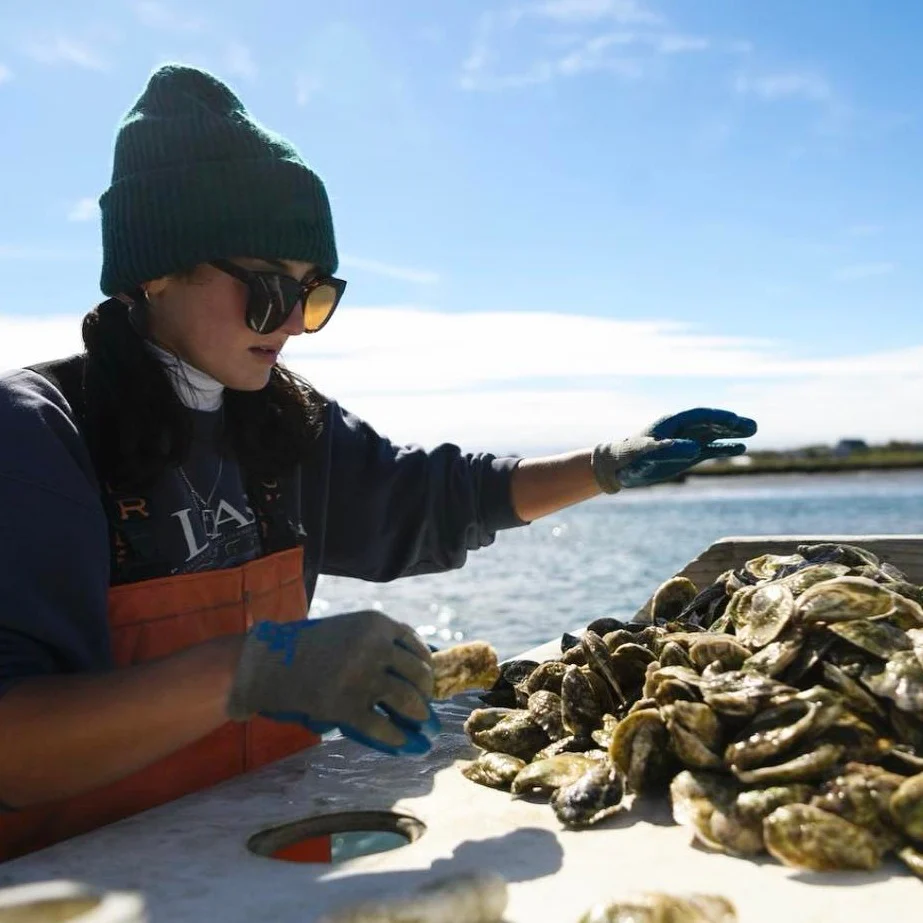Nonesuch Maine Oysters (Scarborough, Maine) 25 Oysters - Image 3