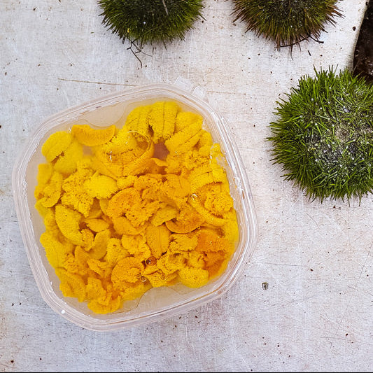 Sea Urchin Roe (Sushi-Grade Uni) 5.3 Oz Tray - Image 8