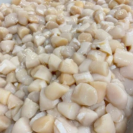 Nantucket Bay Scallops (Dry Packed/Sushi Grade) - Image 4