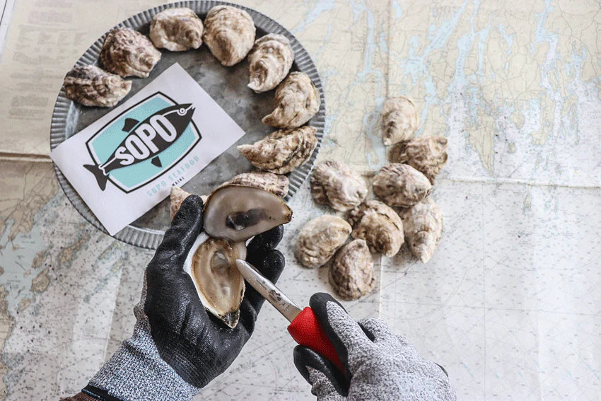 Maine Oyster Shucking Gift Box/Starter Pack - Image 2