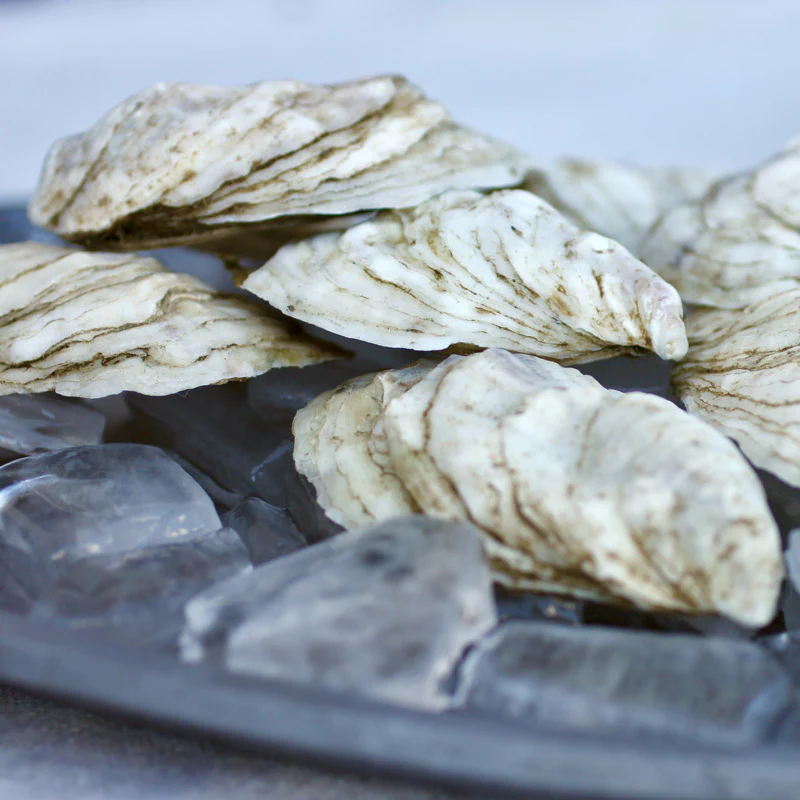 Running Tide Oysters (Harpswell, ME) - SOLD OUT - Image 2